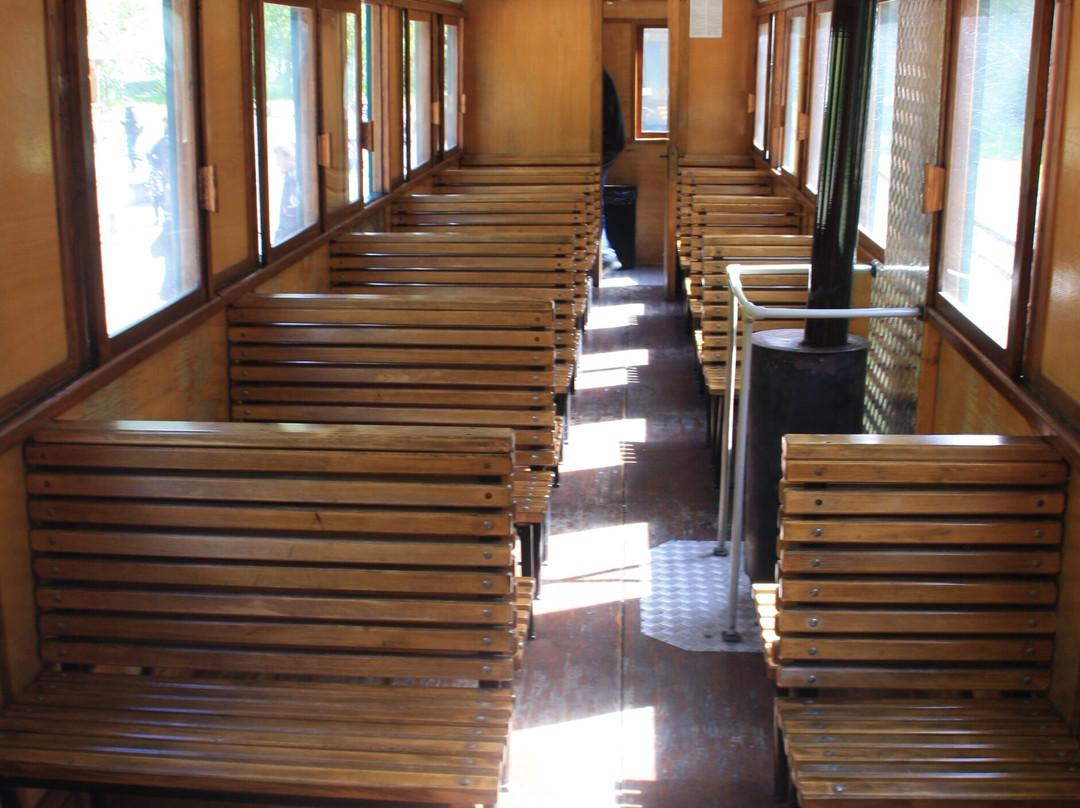 Vaser Valley Forestry Railway - Day Tours-Viseu de Sus必去景点