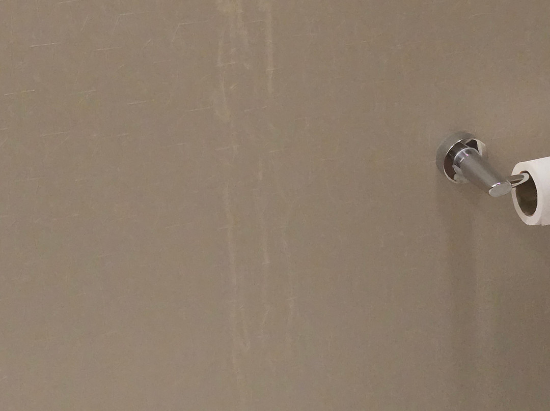 Springhill Suites By Marriott Columbia Fort Meade Area主图