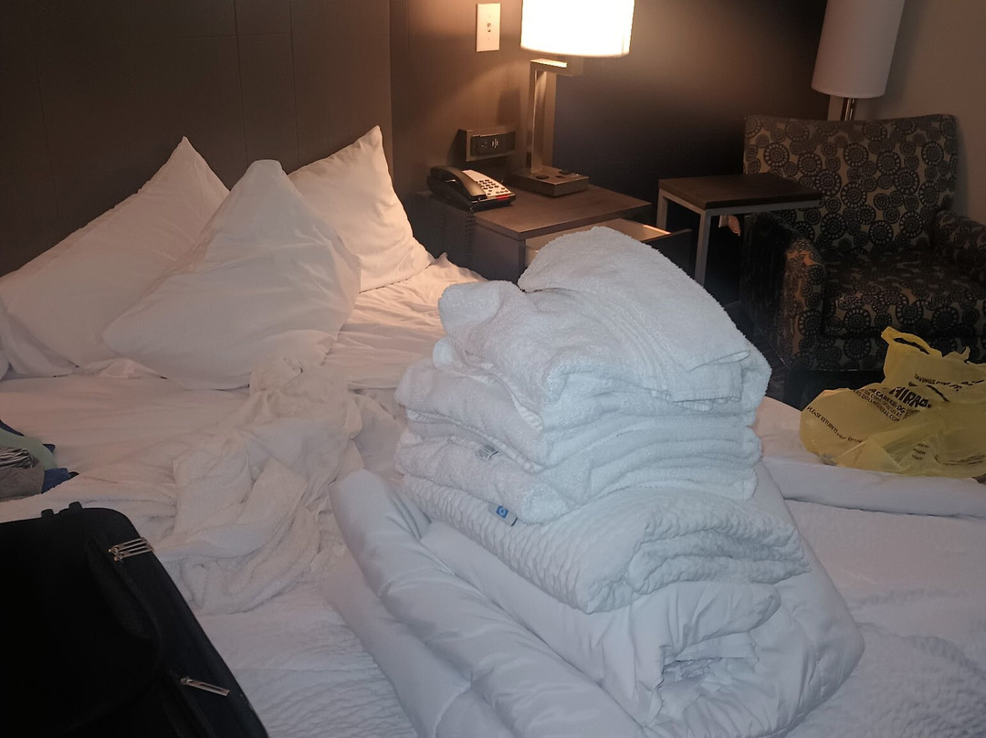 La Quinta Inn & Suites by Wyndham Rock Hill主图