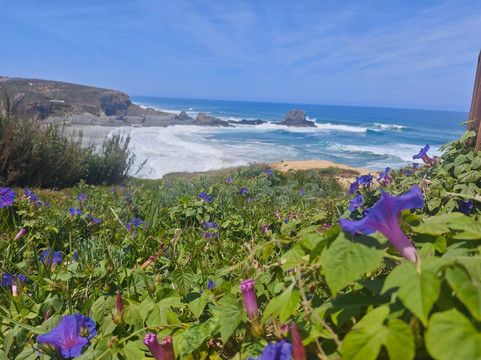 BikNic Rental-Setubal必去景点