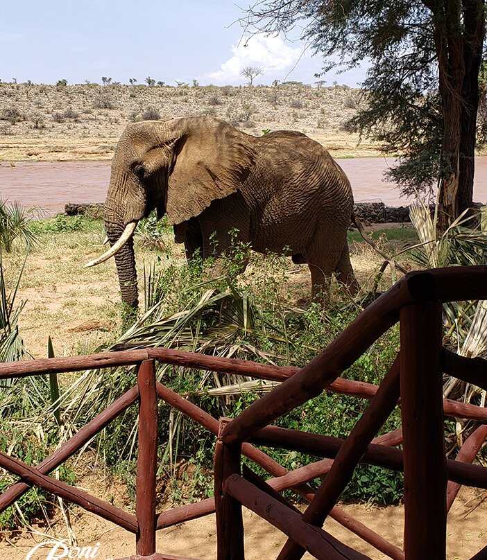Lemnshan African Adventure Safari-南由基必去景点