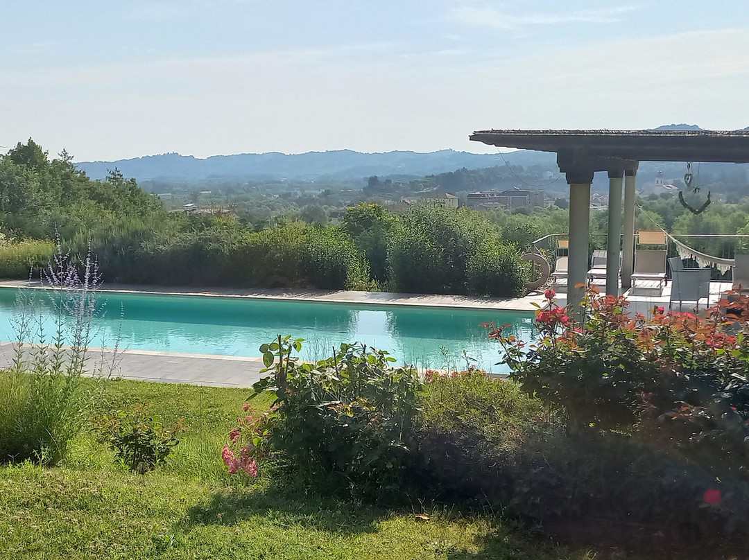 Il Sambuco Innamorato主图