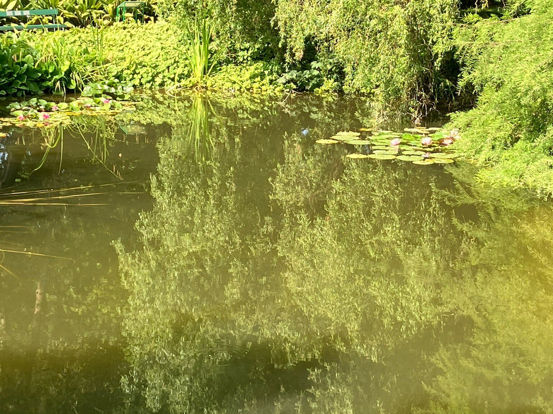 Botanical Garden-萨格勒布必去景点