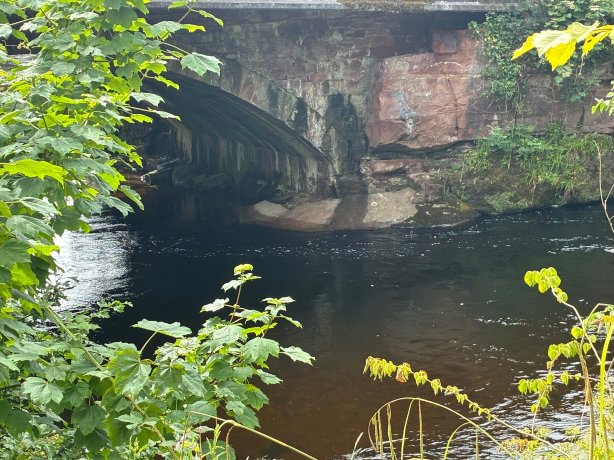 史丹利阿尔姆斯酒店-官方