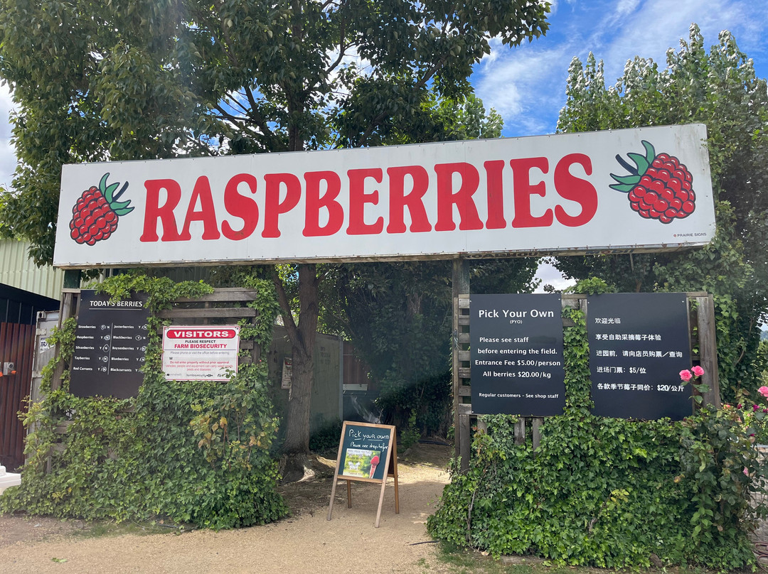The Westerway Raspberry Farm