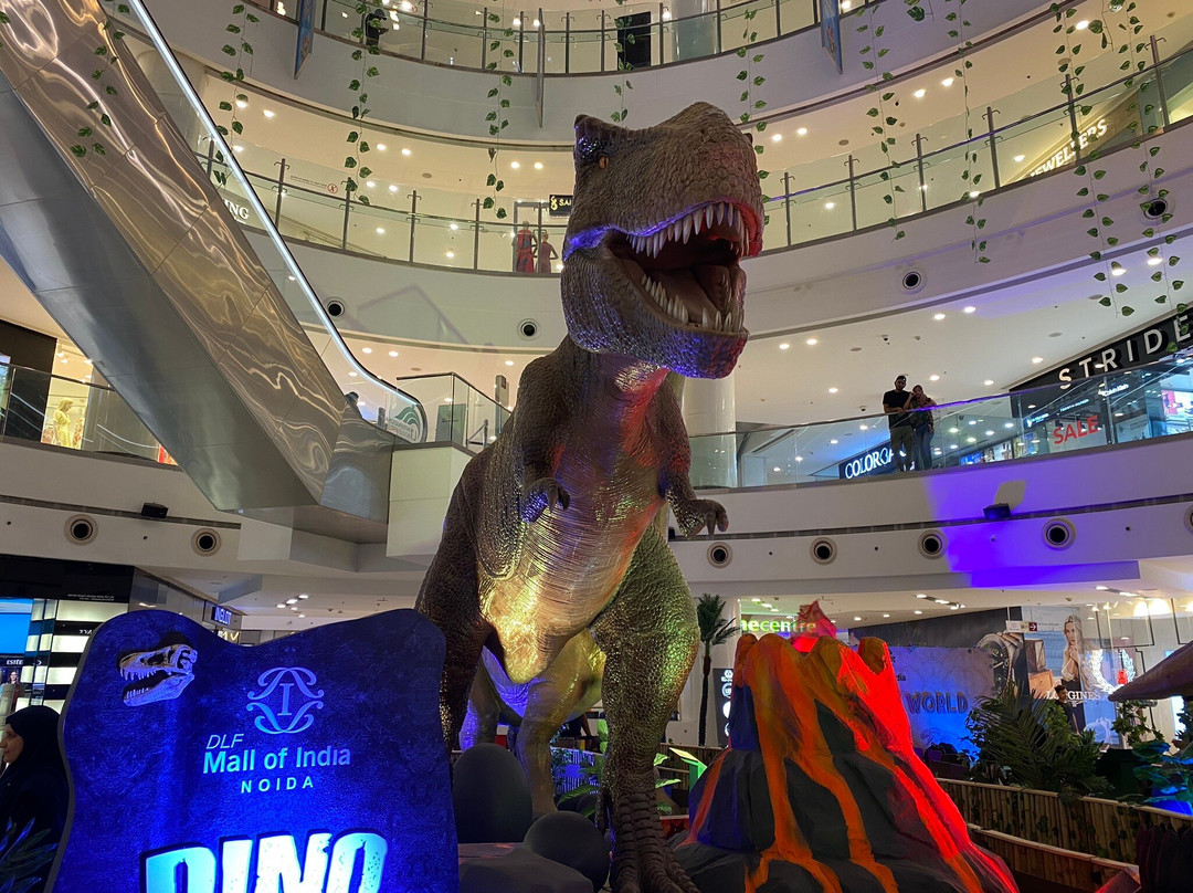 DLF Mall Of India-诺伊达必去景点