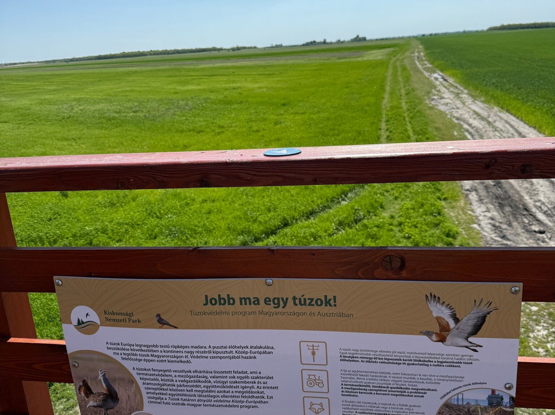 Hungarianbirdwatching.com Day Tours-布达佩斯必去景点