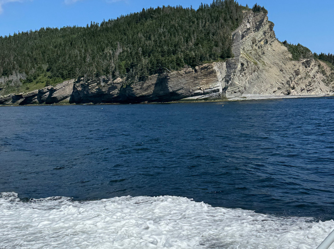 Whale-Watching Cruise in Forillon National Park-Gaspe必去景点