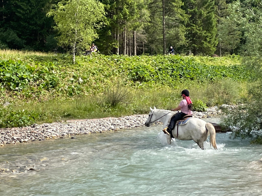 Charlotte Horse Riding-Campitello di Fassa必去景点