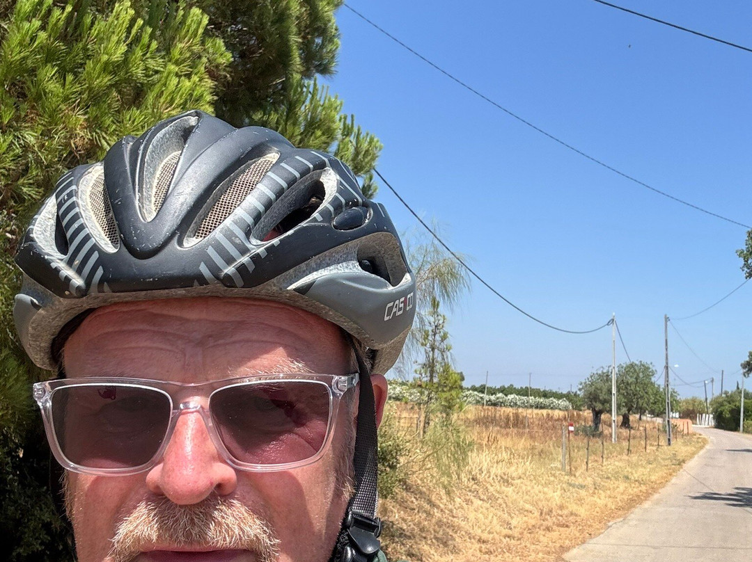 Stallerbike-Paderne必去景点