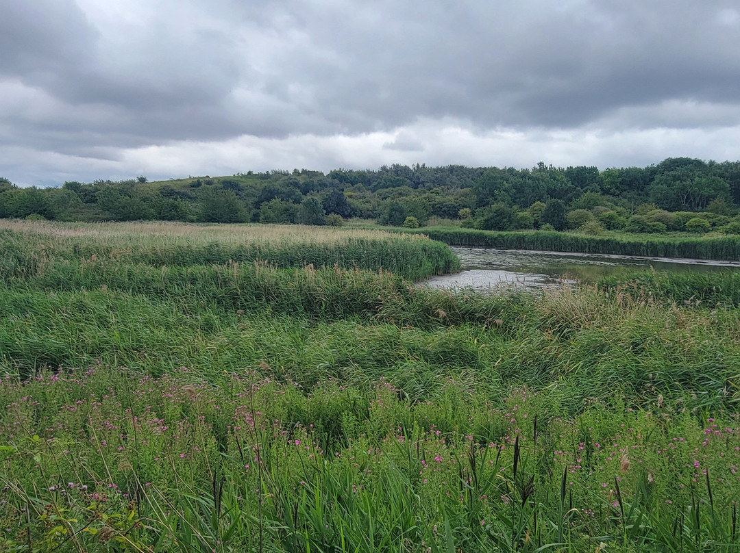 Port Sunlight River Park-Port Sunlight必去景点