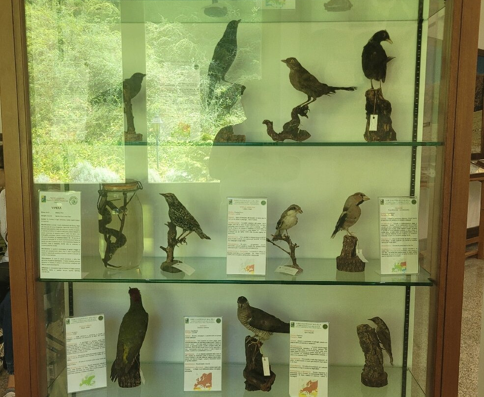 Parco Nazionale della Sila Centro Visitatori di Monaco A. Garcea-Taverna必去景点