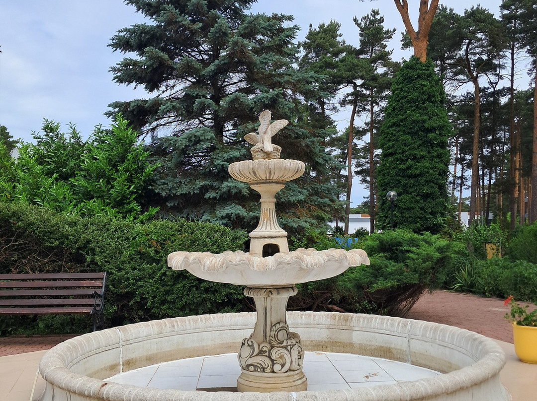 Bocianie Gniazdo Hotel主图