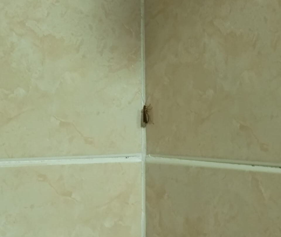 Hotel Arawak Upar主图