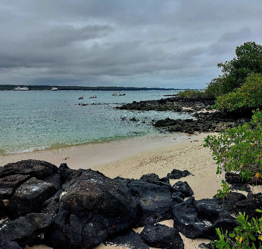 Playa de los Perros-阿约拉港必去景点