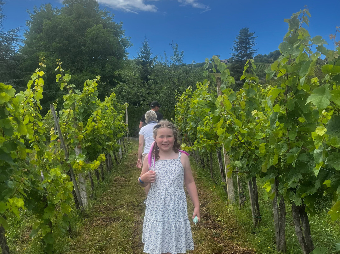 Winery Mihelin-Bizeljsko必去景点