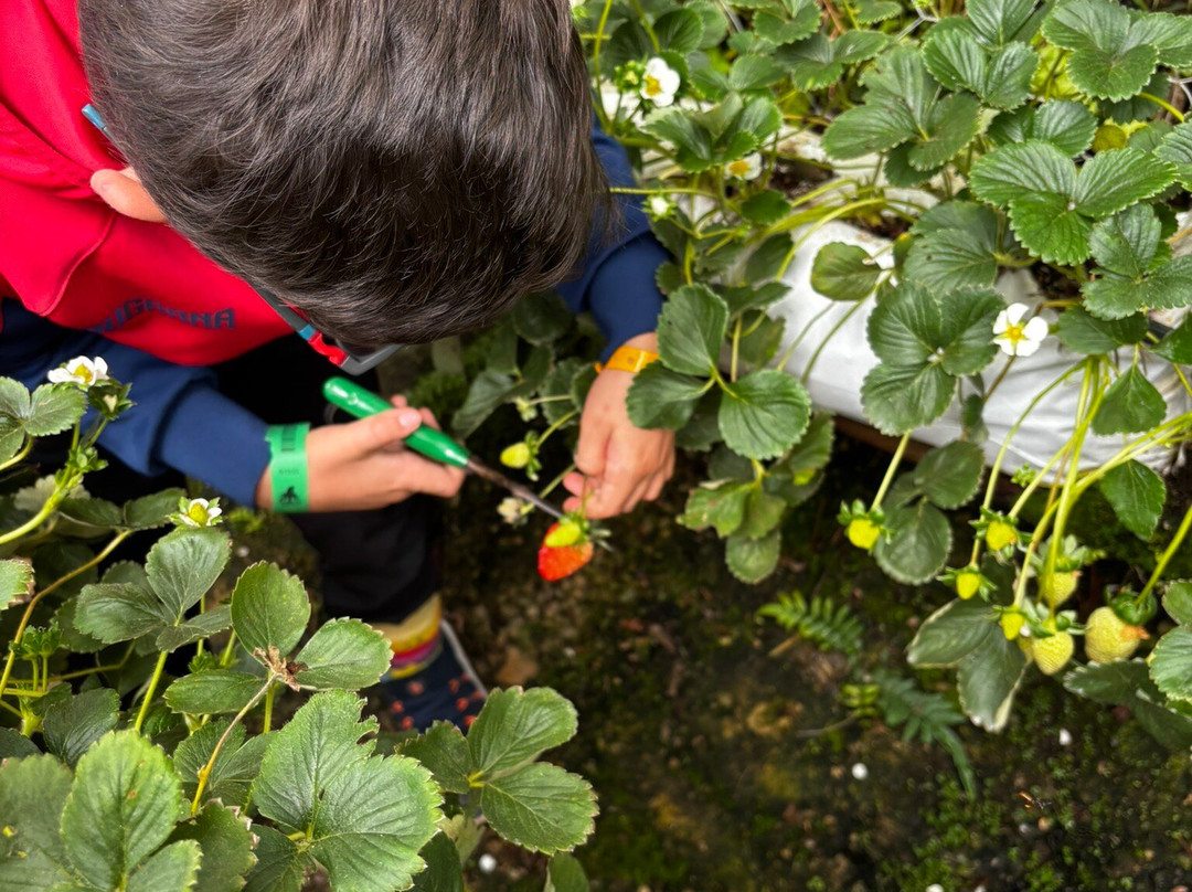 Bioparque Das Aves-多明戈斯-马丁斯必去景点