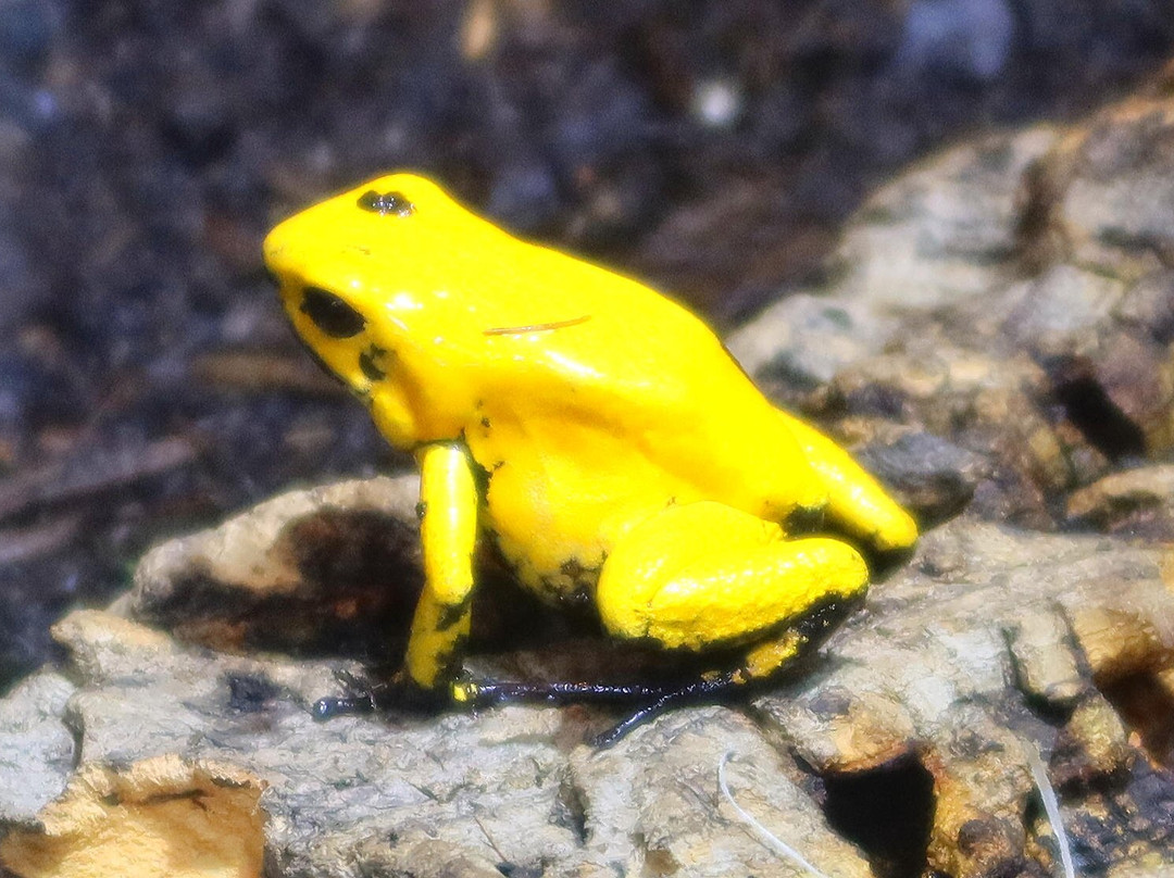 Lakeland Wildlife Oasis-Milnthorpe必去景点