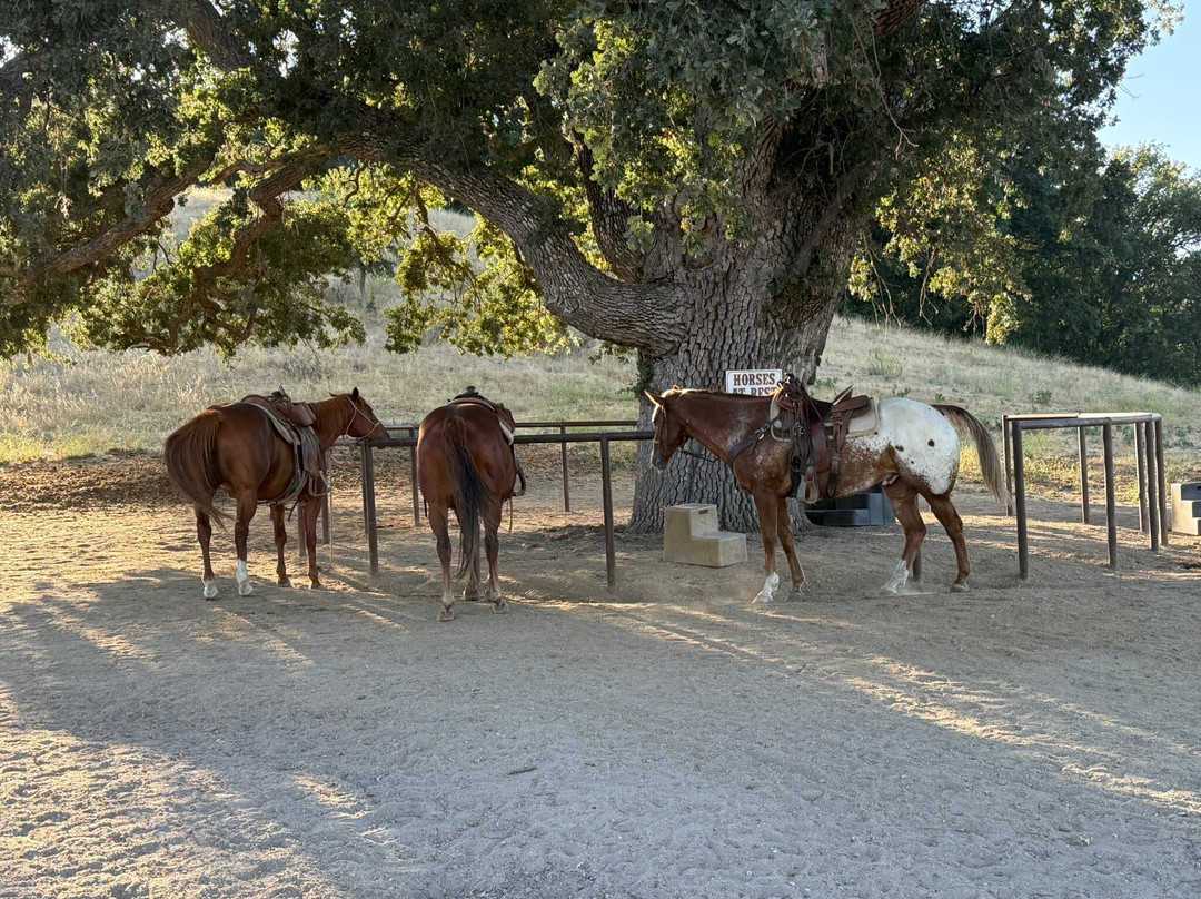 Central Coast Trailrides-帕索罗布尔斯必去景点