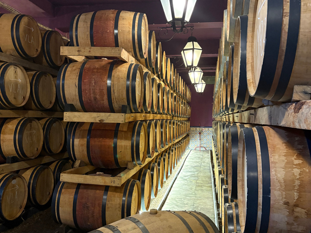 Adega de Palmela-Palmela必去景点