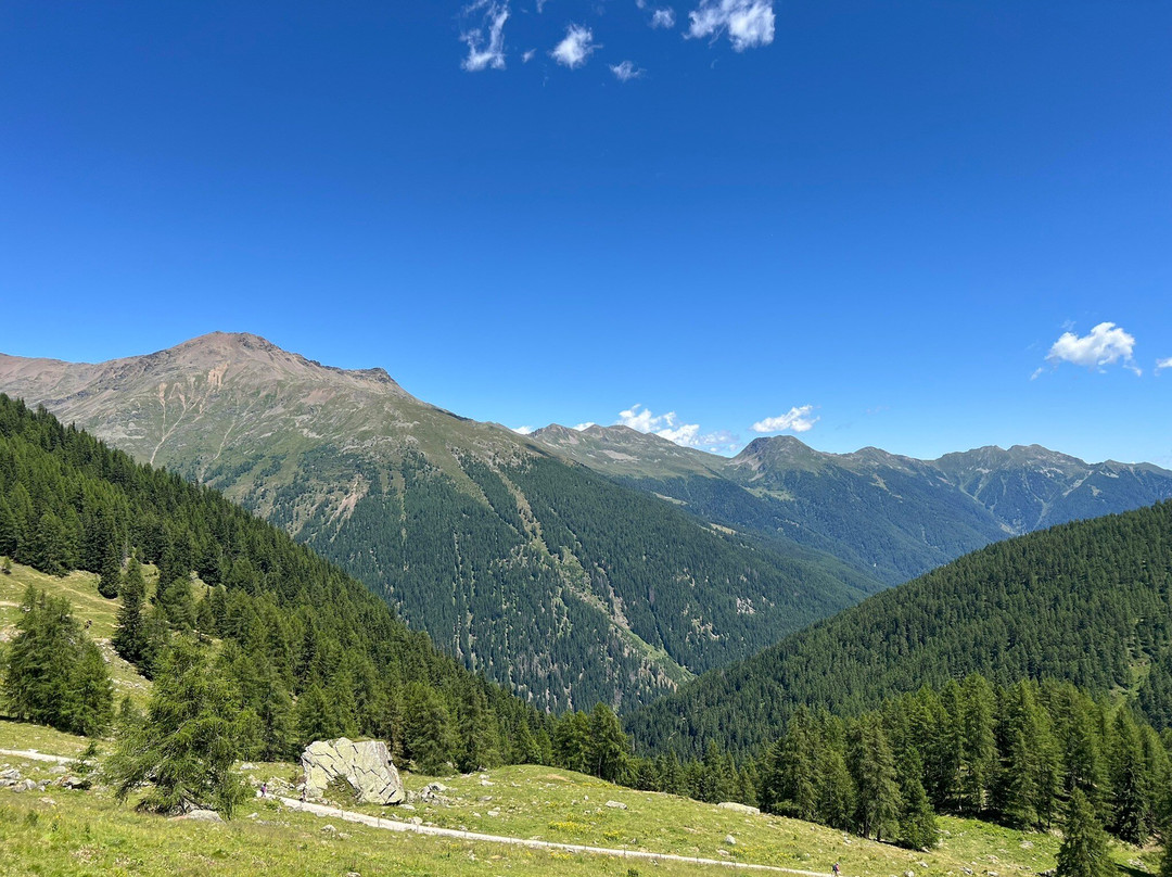 Malga Stablaz O Maleda Alta