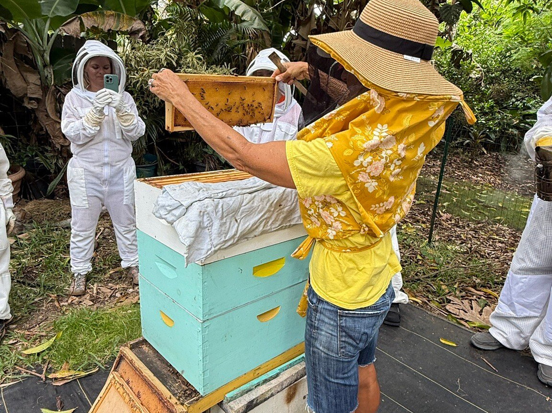 Hanai Hives-哈雷瓦必去景点