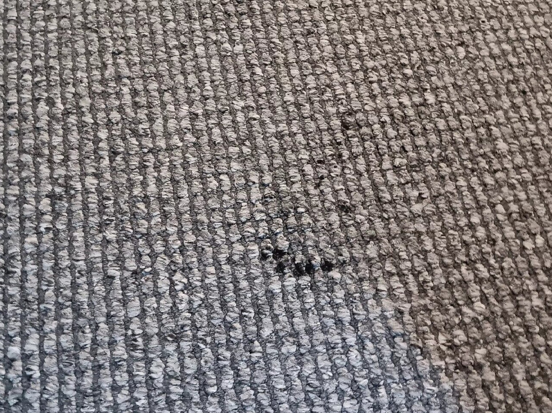 斯蒂芬斯港汽车旅馆主图