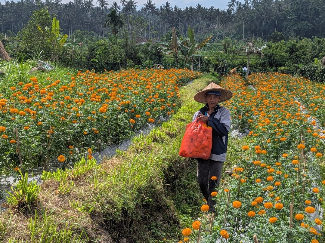 Maha Gangga Valley-阿巴比必去景点