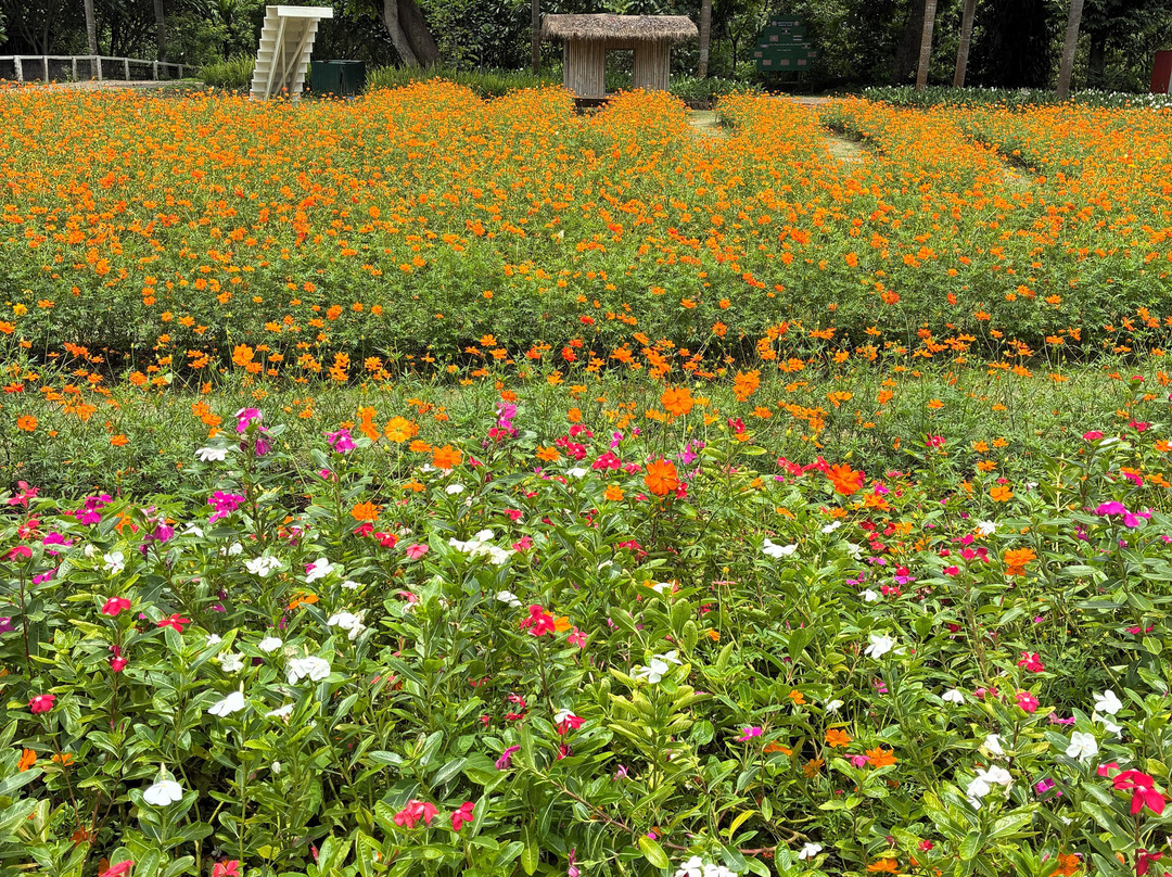 Green Jungle Park@Hoi Khua Waterfall-琅勃拉邦必去景点