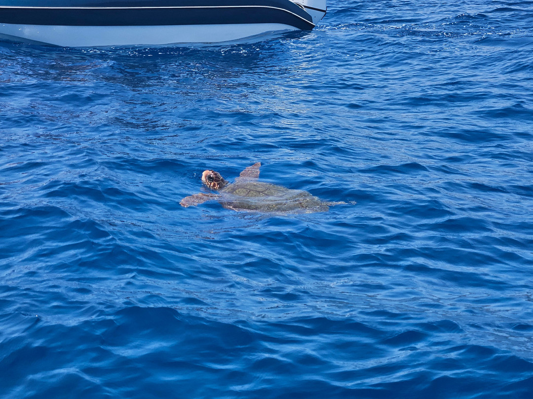 Traventure-Agios Sostis必去景点