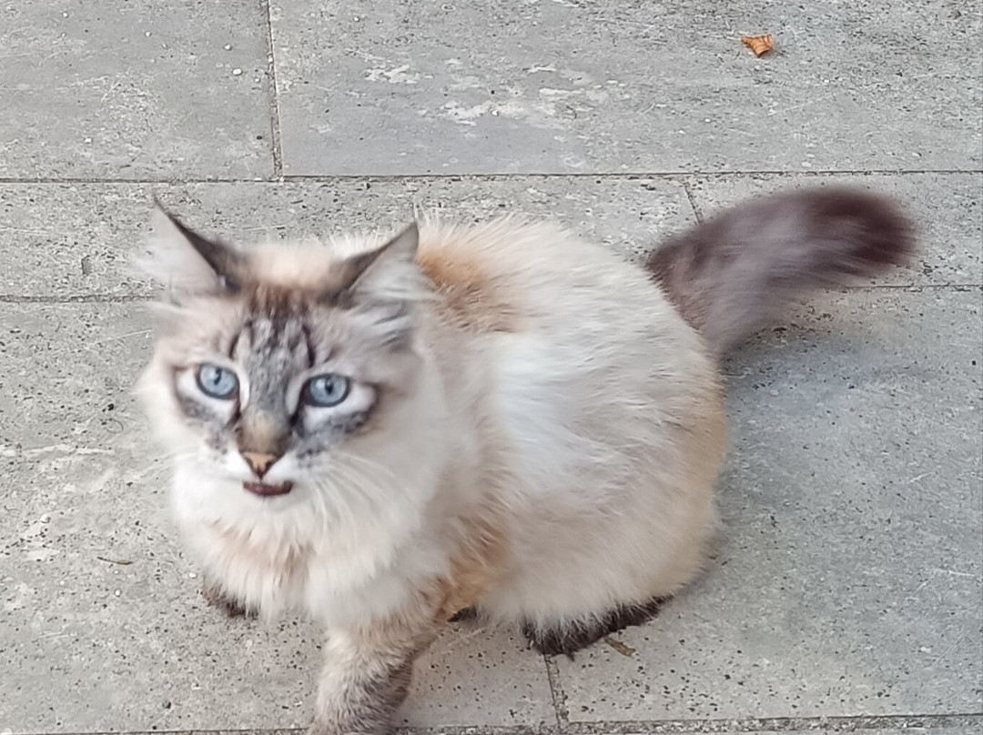 Moulin De Janlard主图