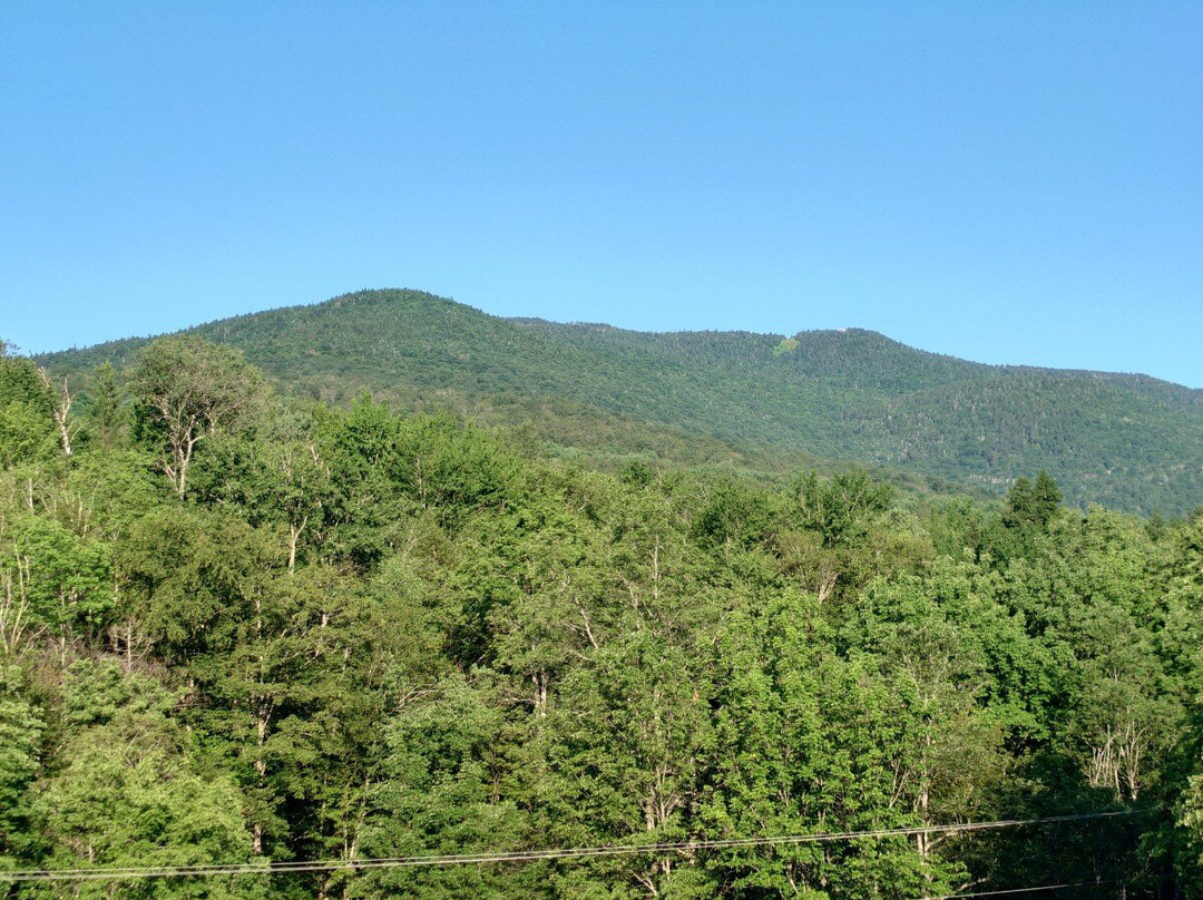 Mad River Lodge主图