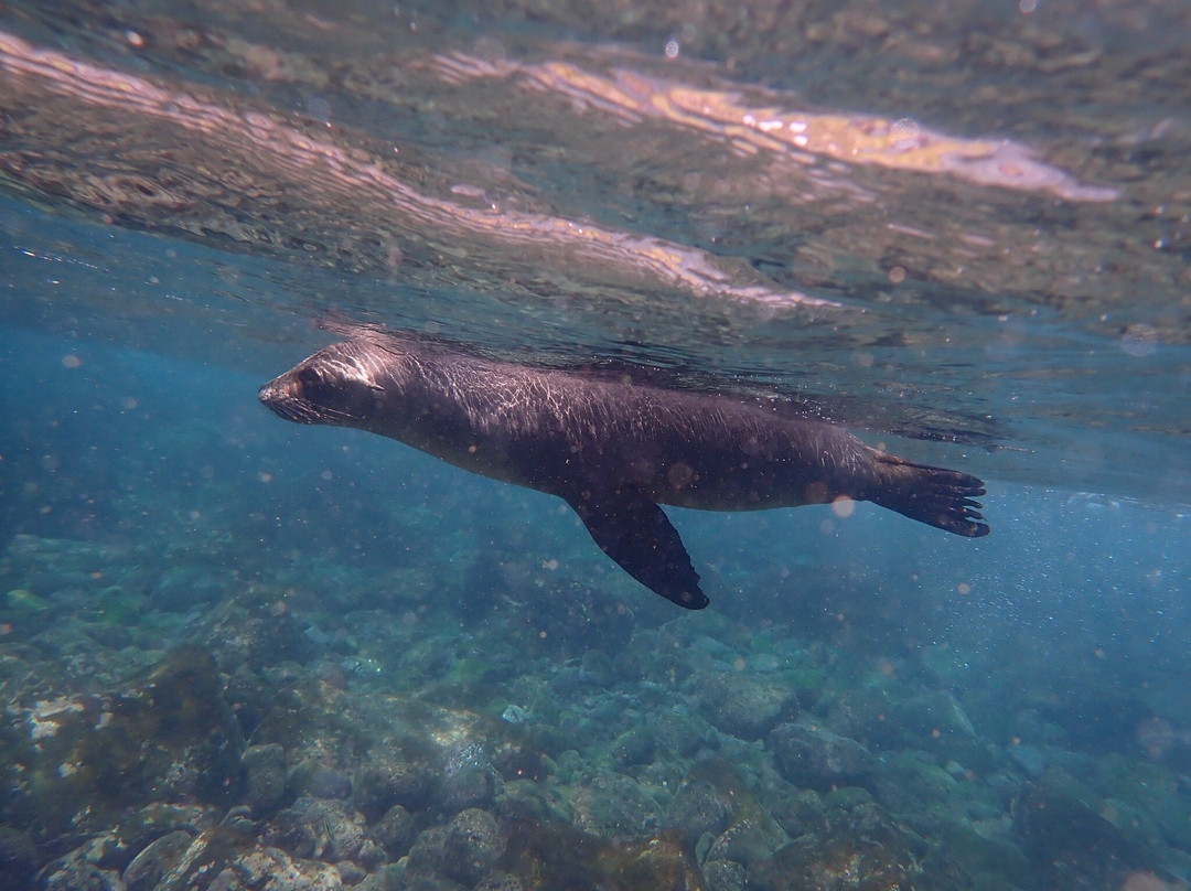 Galapagos Path-阿约拉港必去景点