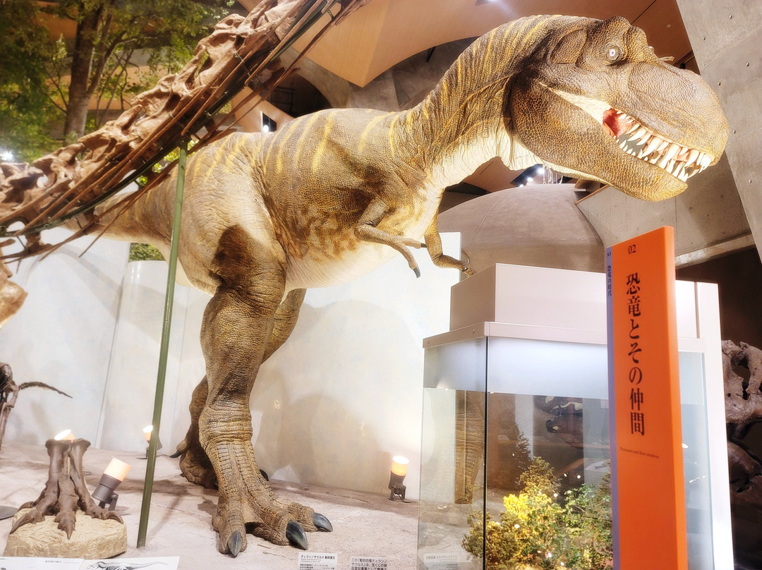 Gunma Natural Museum-富冈市必去景点