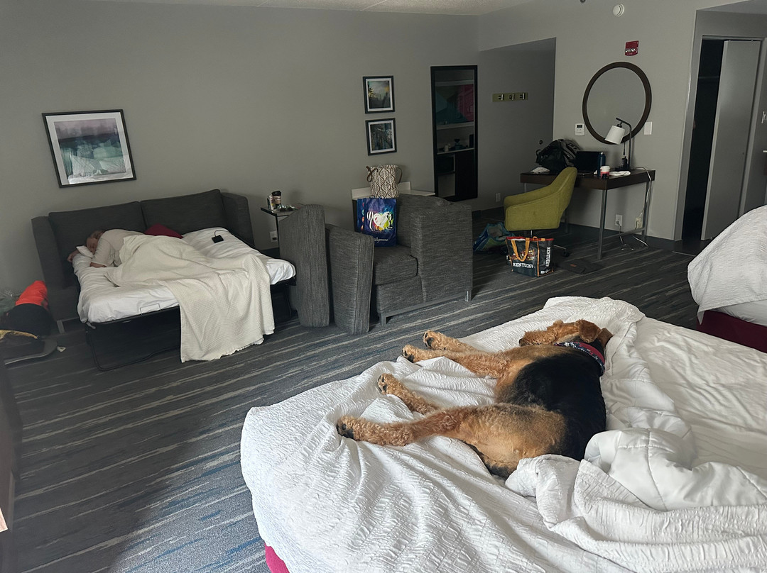 Hampton Inn By Hilton Spring Lake Fayetteville主图