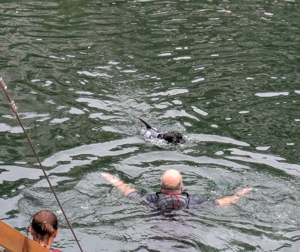 Hangloose Adventure Bluewater-达特福德必去景点