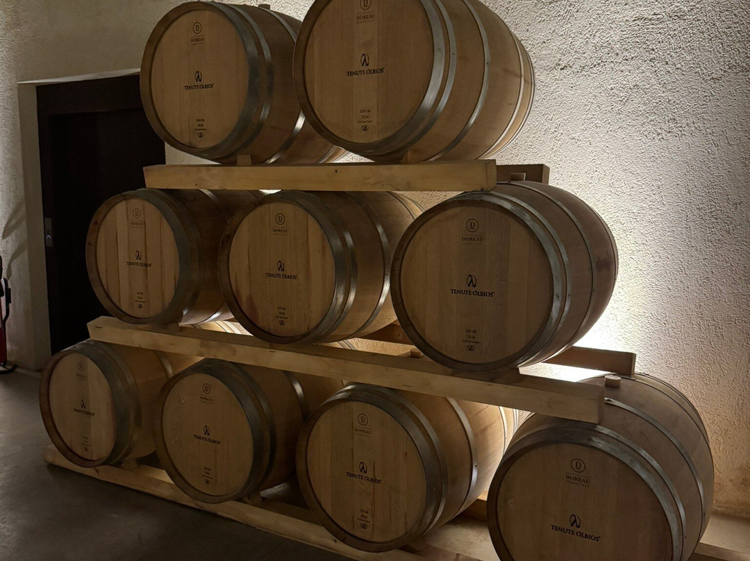 Tenute Olbios-奥尔比亚必去景点