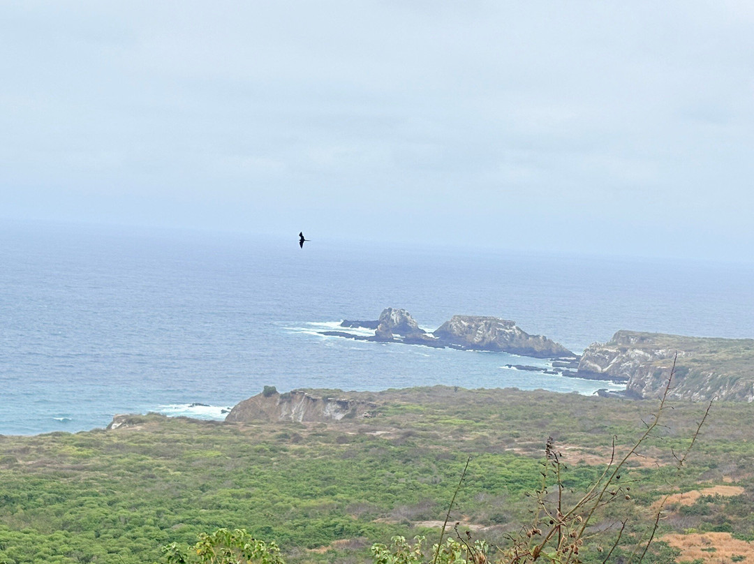 Isla de la Plata-Machalilla National Park必去景点