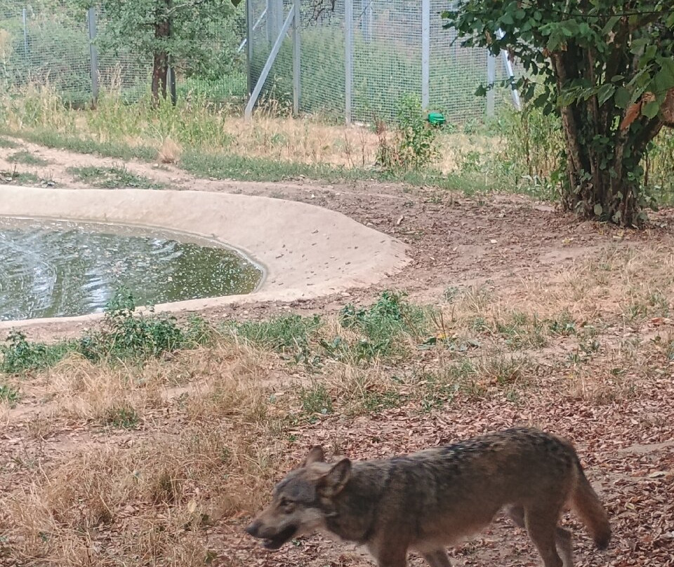 Le Parc Du Thot-Thonac必去景点