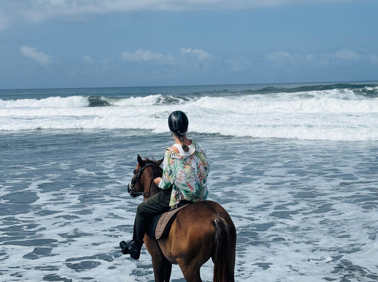 Gorilla Adventures Bali-乌布必去景点