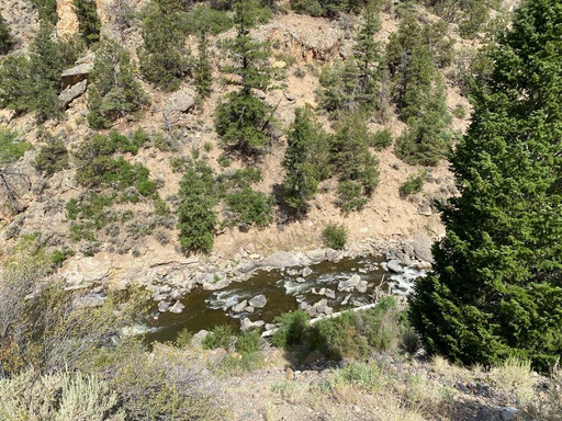 Cimarron Canyon Rail Exhibit