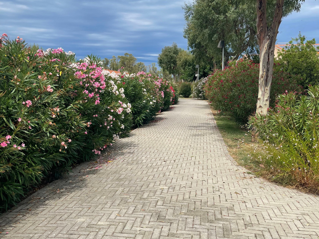 Residence Rosa dei Venti主图