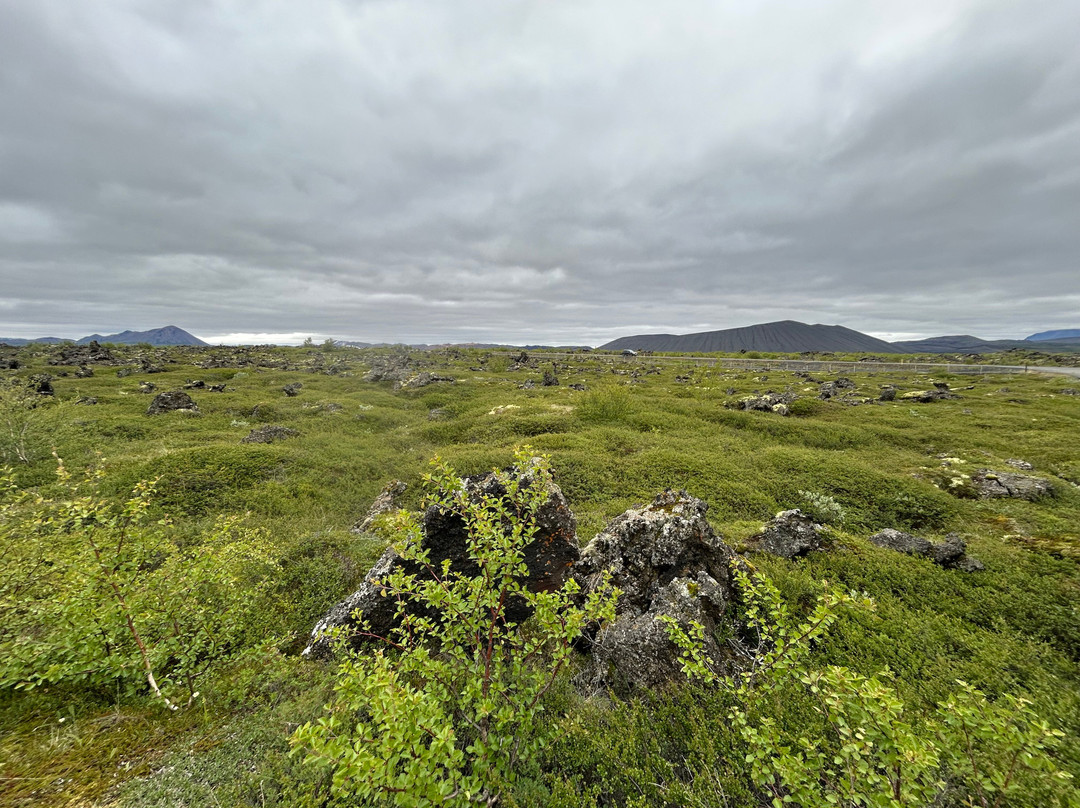 Dimmuborgir Lava Formations-米湖必去景点