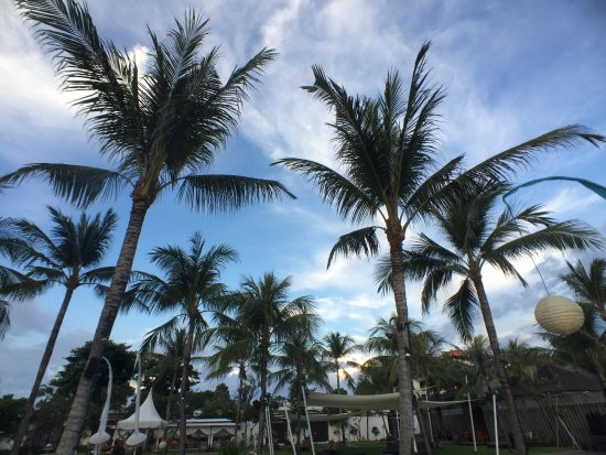 巴厘岛赛米亚酒店主图