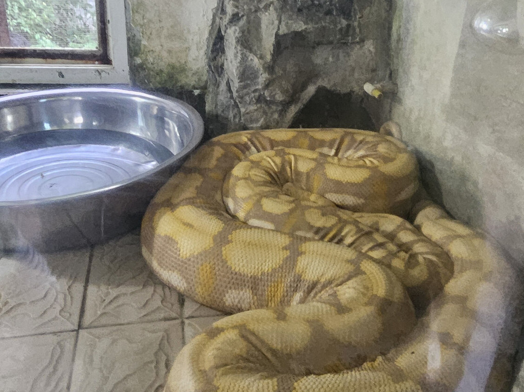 合肥野生动物园-合肥市必去景点