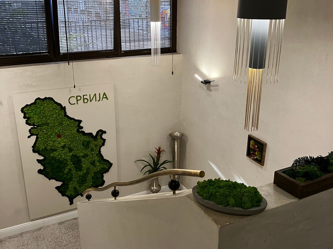 Hotel Botanica主图