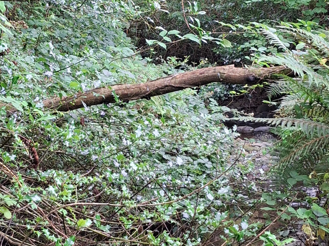 Kilkhampton to Coombe Valley-Kilkhampton必去景点