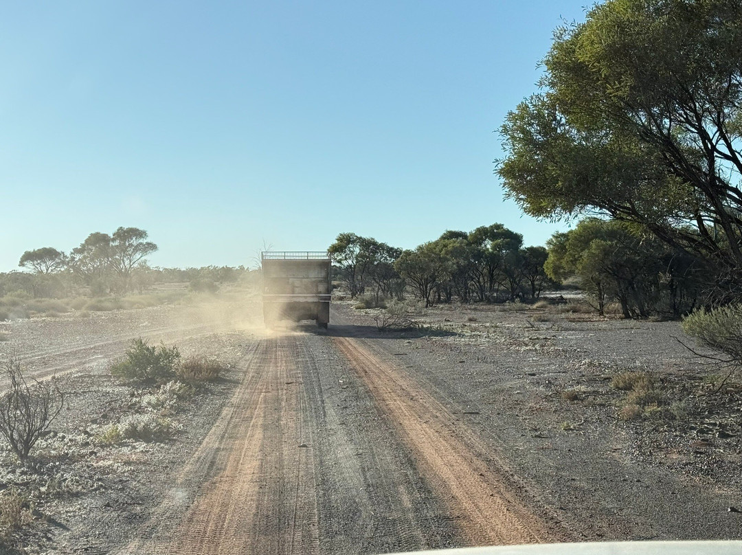 Opaltown Boulder Opal-Winton必去景点