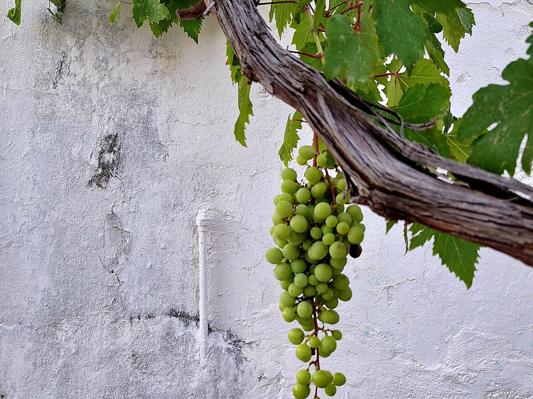 Artemis Pension主图