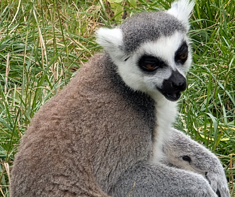 Landgoed Hoenderdaell-Anna Paulowna必去景点